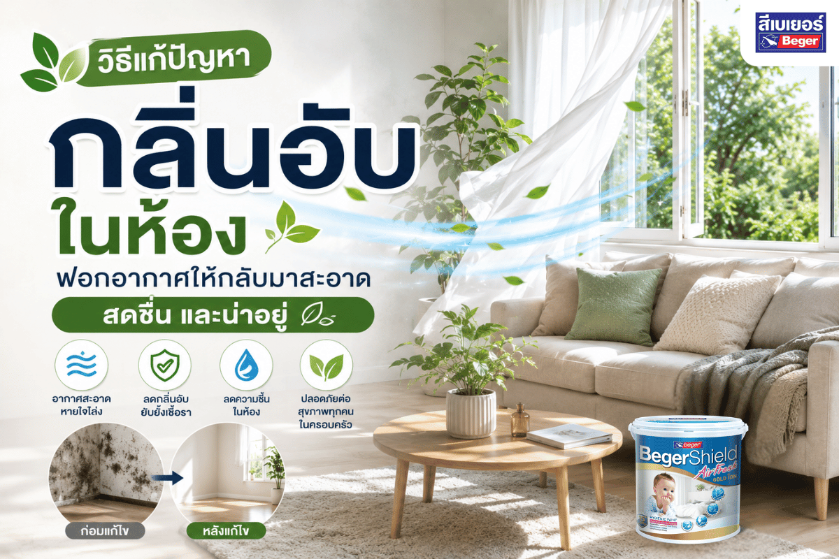 กลิ่นอับในห้อง ปัญหาที่กระทบคุณภาพชีวิต