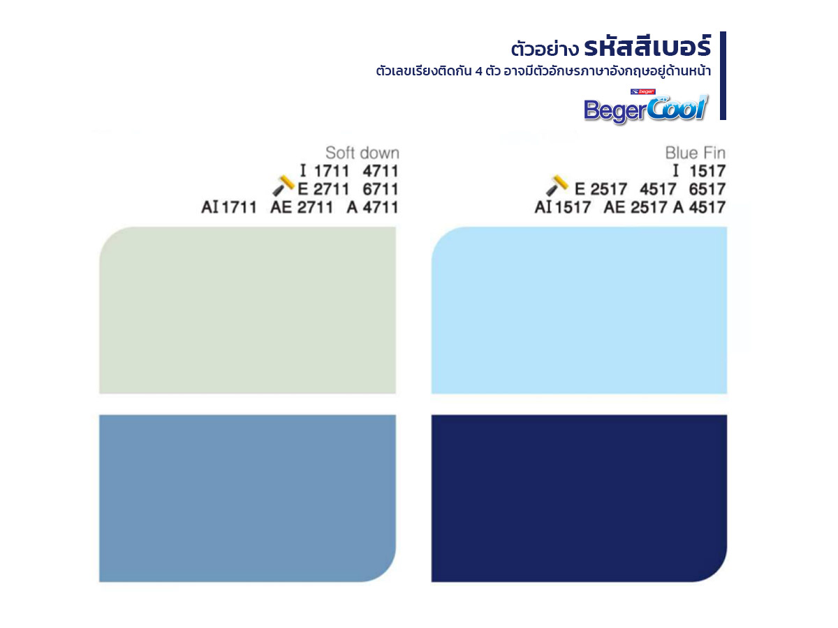 ตัวอย่างรหัสสีเบอร์เบเยอร์