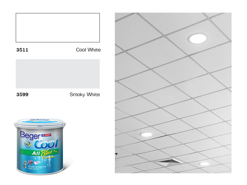 เฉดสีทาฝ้าเบเยอร์ยอดนิยม รุ่น เบเยอร์คูล BegerCool Ceiling