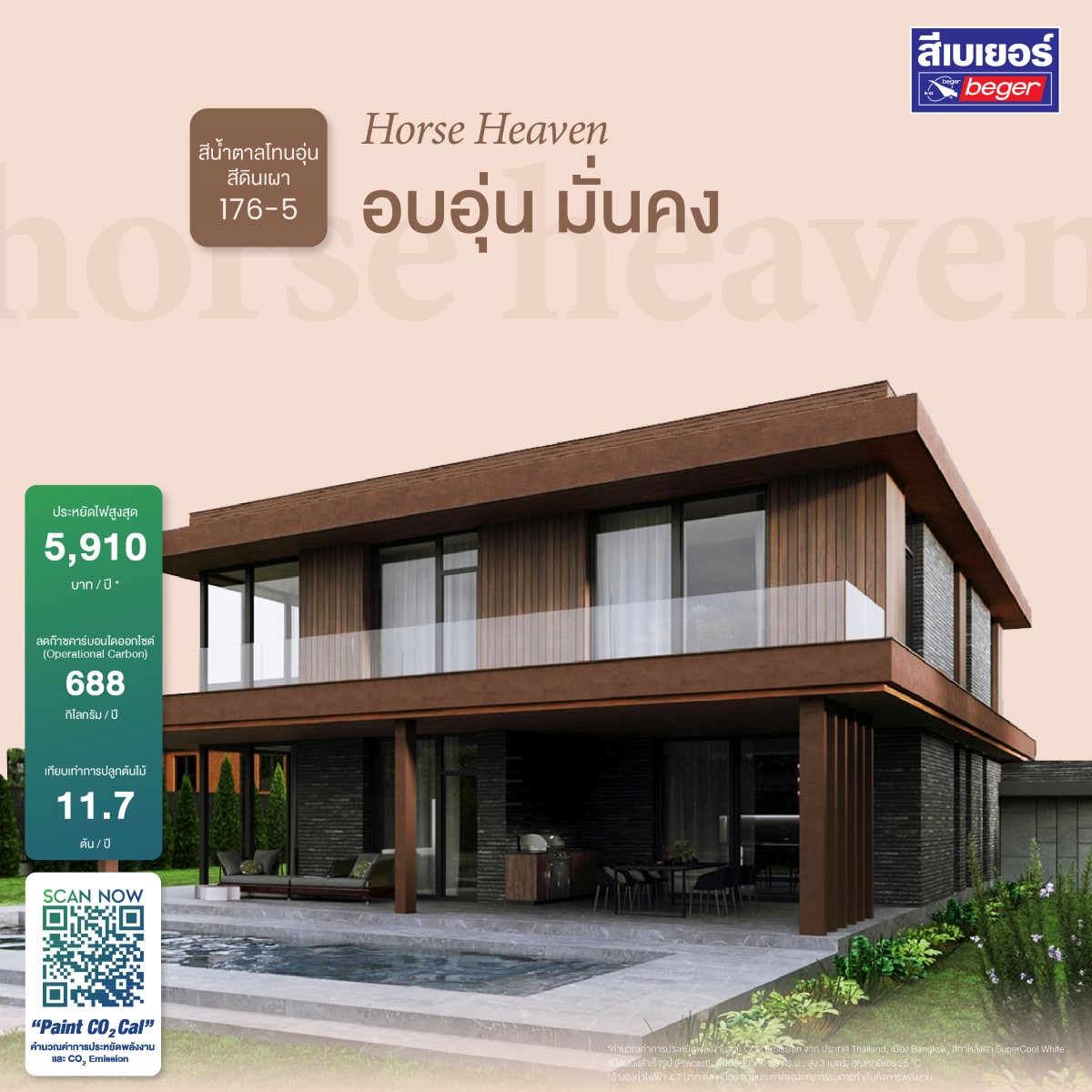 สี Timeless สีน้ำตาลอุ่น