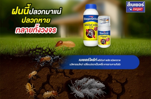 กำจัดปลวกอย่างยั่งยืน ด้วยวิธีมืออาชีพ พร้อมแนะนำผลิตภัณฑ์ที่บ้านคุณวางใจได้