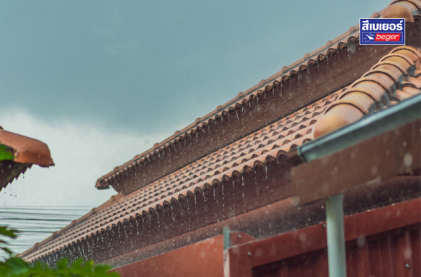 วิธีดูแลบ้านช่วงฝนตก ให้ปลอดภัย แห้ง สะอาด พร้อมแนะนำสีทาบ้านกันฝนที่เหมาะกับอากาศเมืองไทย