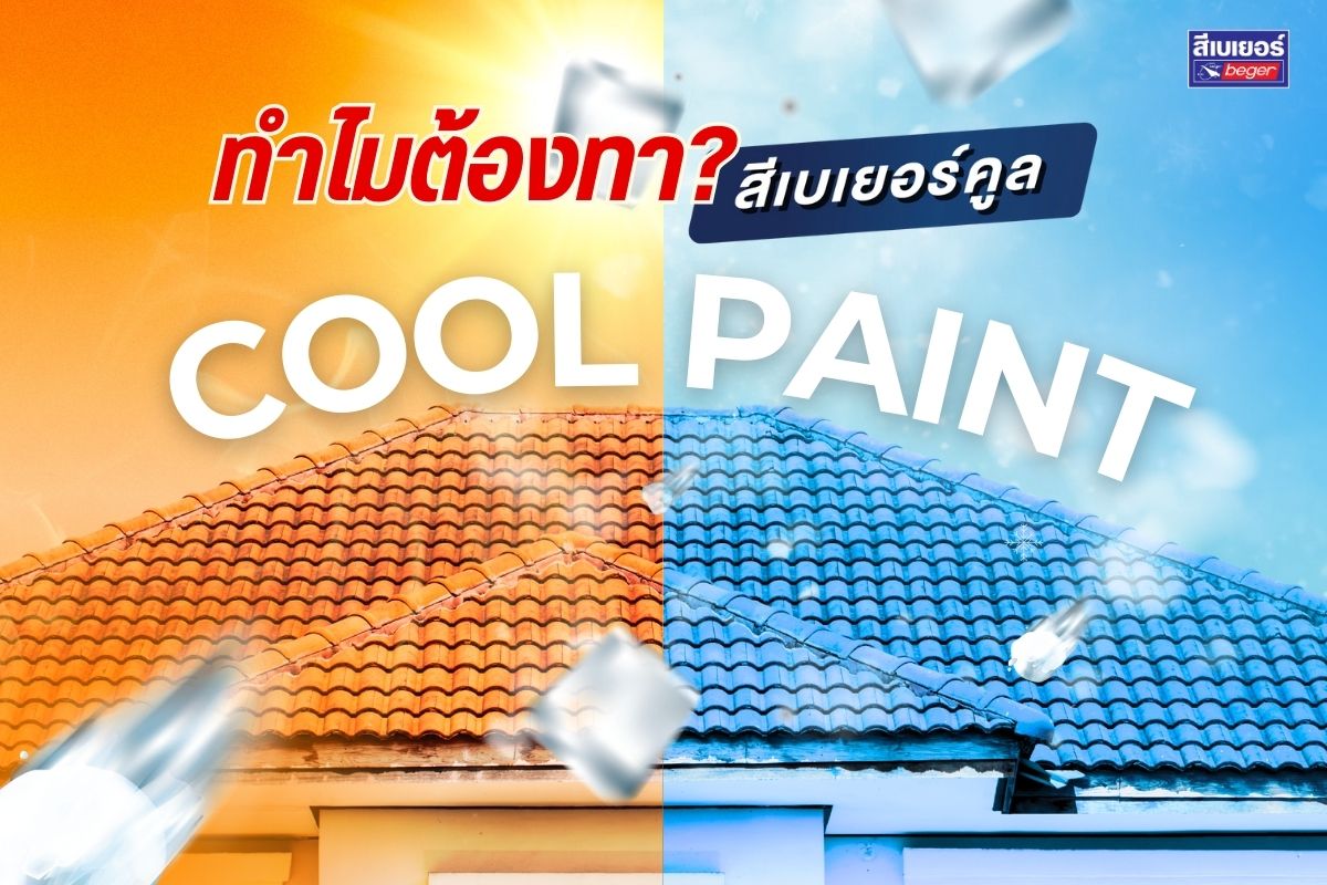ทำไมต้องสีเย็น