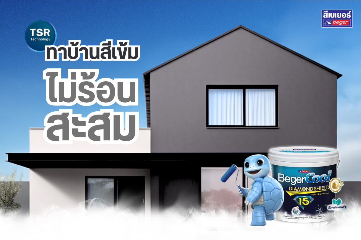 สีเข้ม TSR เบเยอร์