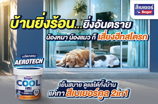 บ้านยิ่งร้อน ยิ่งอันตราย! น้องหมา น้องแมว เสี่ยงฮีทสโตรก พร้อมวิธีเลือกสีทาบ้านให้บ้านเย็น