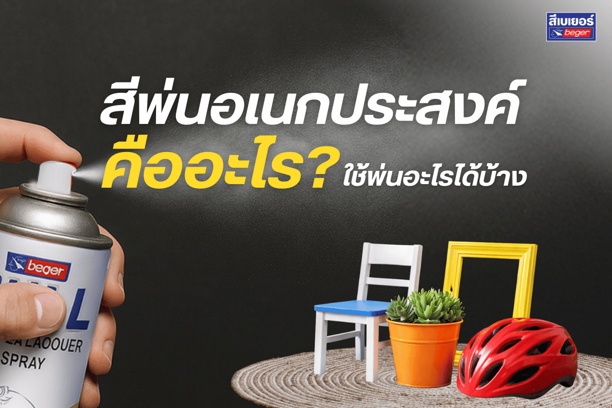 สีพ่นอเนกประสงค์