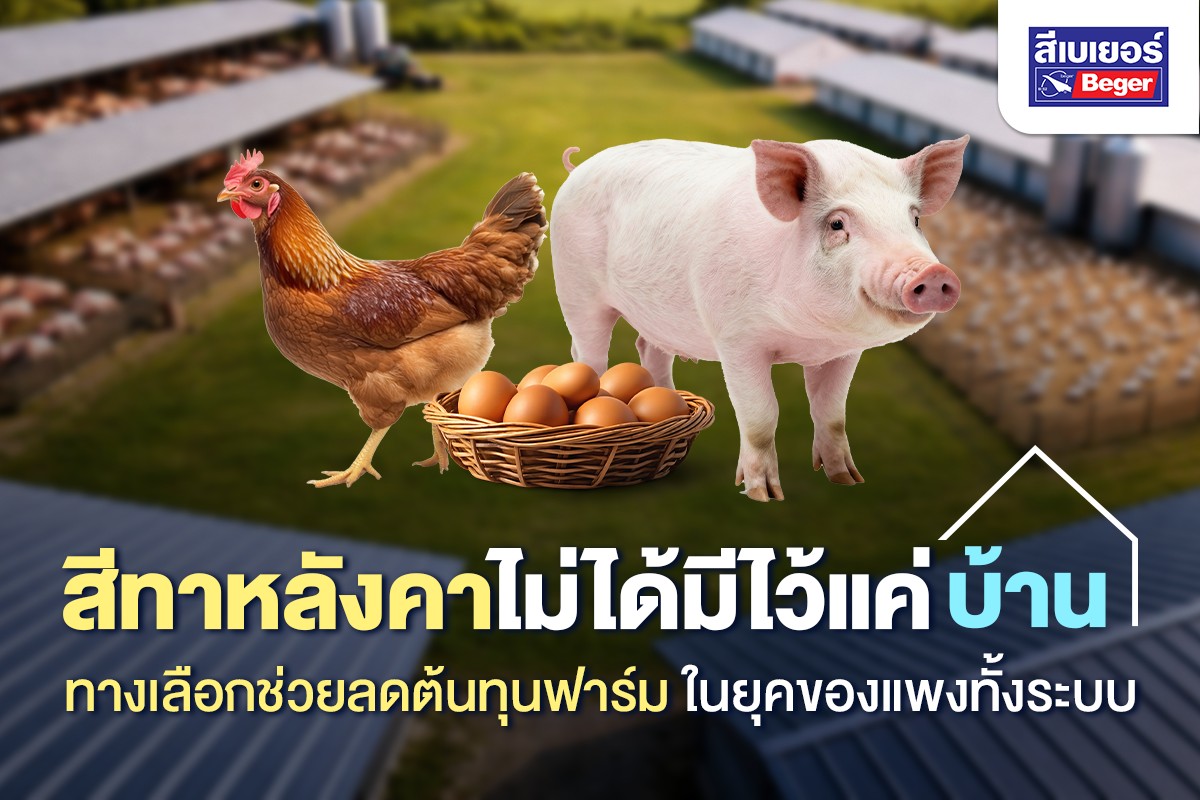 สีทาหลังคาบ้าน