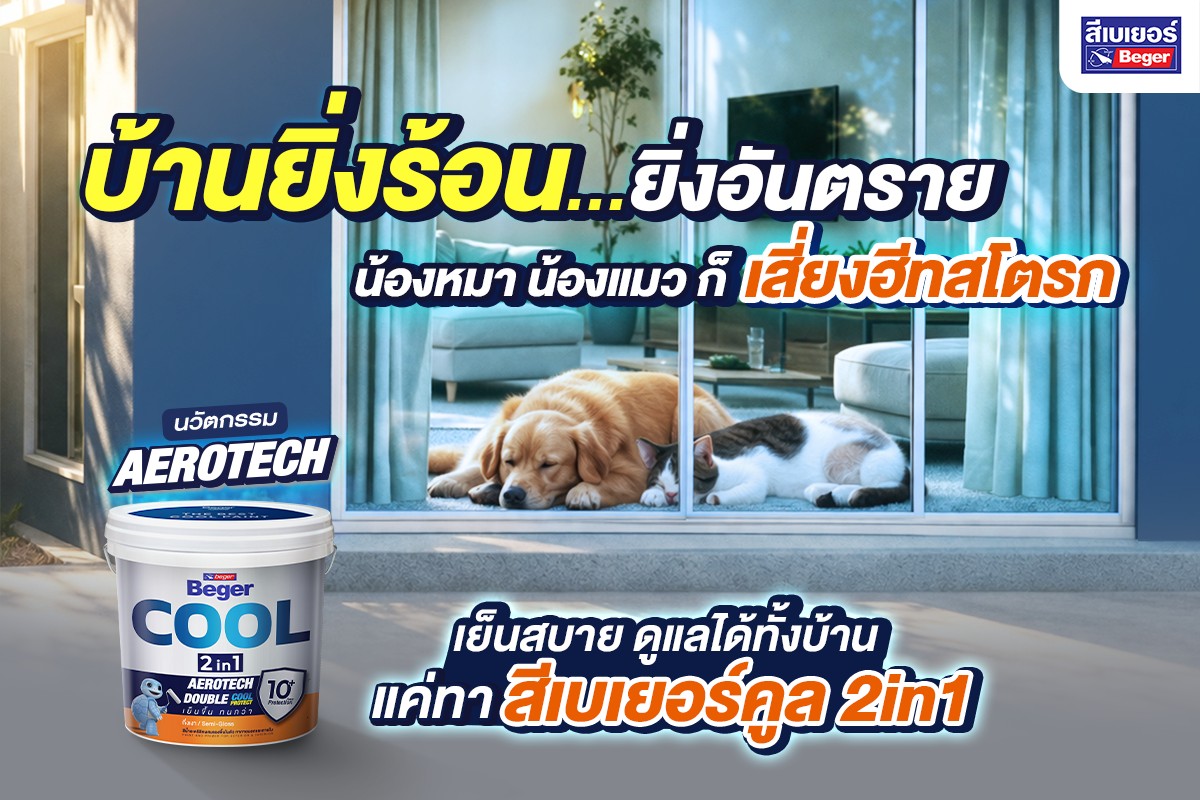 ฮีทสโตรกในหมาแมว