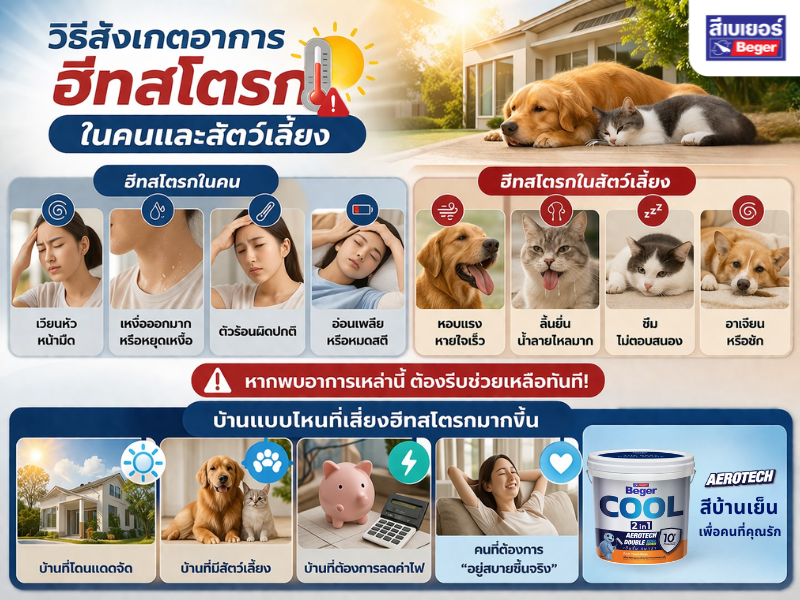 วิธีรับมือเมื่อเกิดฮีทสโตีก