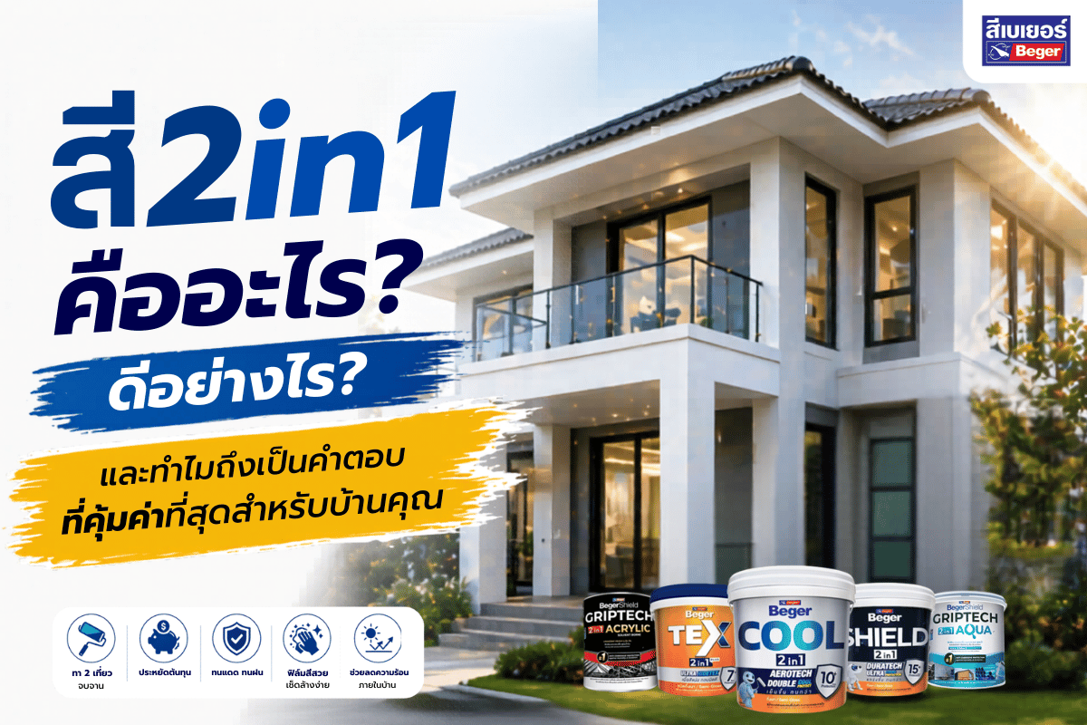 สี2in1