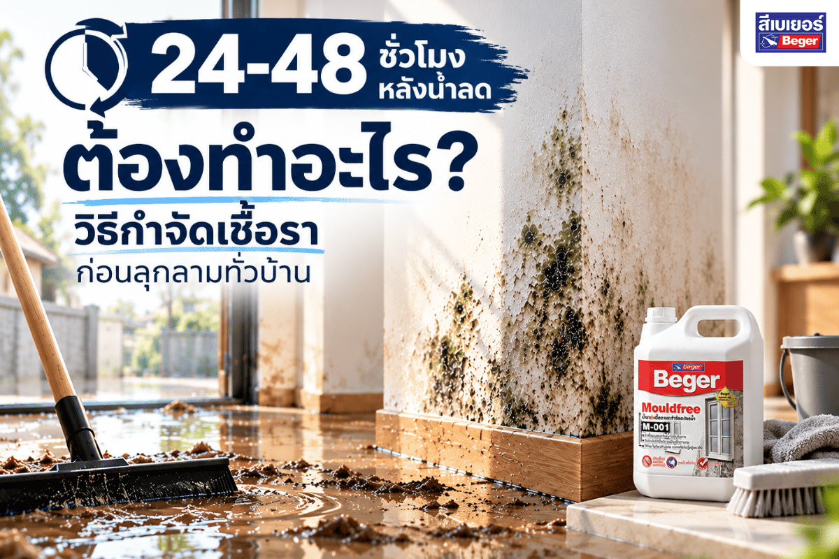24–48 ชั่วโมงหลังน้ำลด ต้องทำอะไร วิธีกำจัดเชื้อรา ก่อนลุกลามทั่วบ้าน