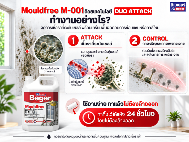เทคโนโลยี DUO ATTACK